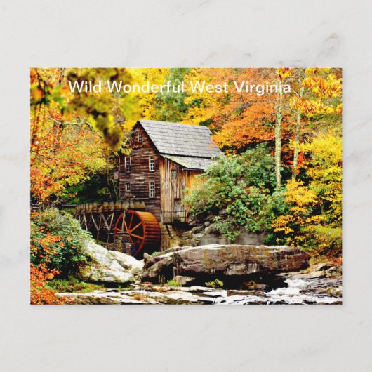 バブコック州パークグリストミル ポストカード (正面)