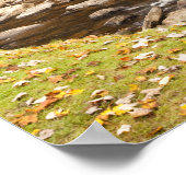 バブコック州パーク ポスター (角)