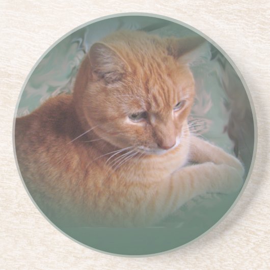 バブバザオレンジ虎猫Tomcat コースター (正面)
