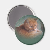 バブバザオレンジ虎猫Tomcat マグネット (正面/裏面)