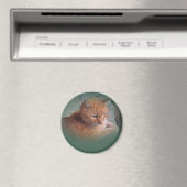 バブバザオレンジ虎猫Tomcat マグネット (インサイチュ (食洗機))