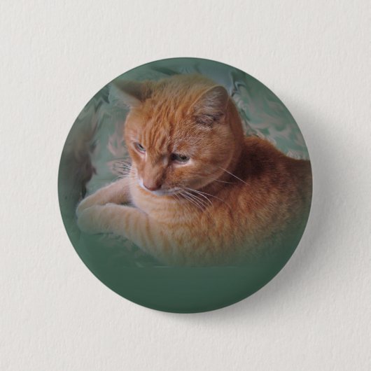 バブバザオレンジ虎猫Tomcat 缶バッジ (正面)