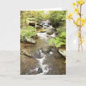 バブリングブルック カード (黄色い花)