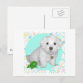 バブルとマルタの子犬 ポストカード (正面/裏面)