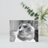 バブルの魅惑のブルース ポストカード (スタンド正面)