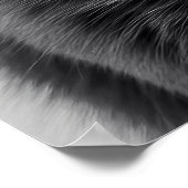 バブルガム猫 ポスター (角)