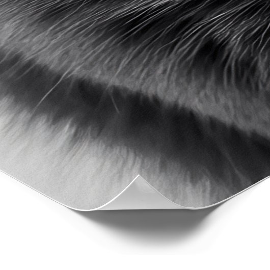 バブルガム猫 ポスター (角)