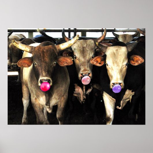 バブルガ吹ムのロデオ・ブル牛の西洋美術 ポスター (正面)