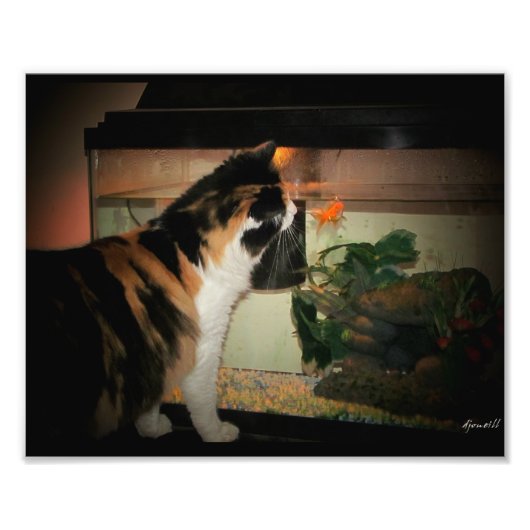 バブルキス フォトプリント            (正面)