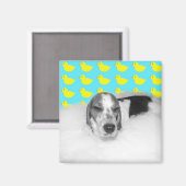 バブルバスラブ マグネット (正面/裏面)