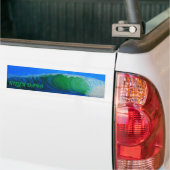 バブルパシフィックバンパーステッカー、キラーダナ バンパーステッカー (トラック上)