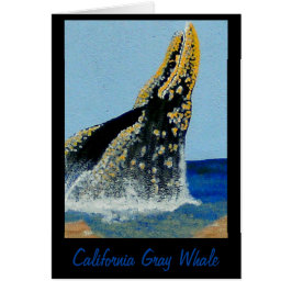 バブルパシフィック毛布