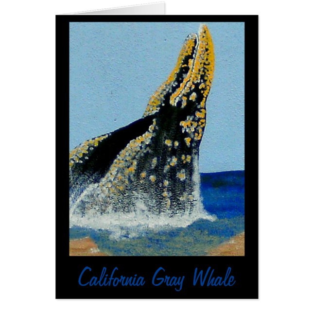 バブルパシフィック毛布 (正面)