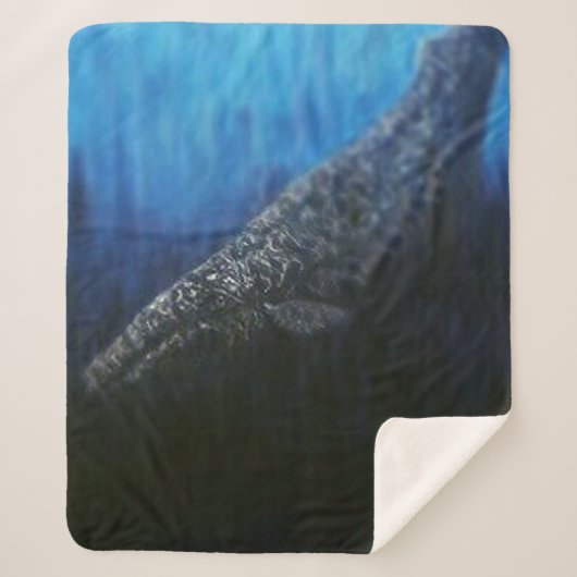 バブルパシフィック毛布 シェルパブランケット (正面)