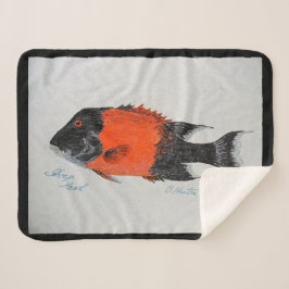 バブルパシフィック毛布 シェルパブランケット