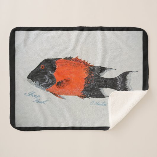 バブルパシフィック毛布 シェルパブランケット (正面(横))