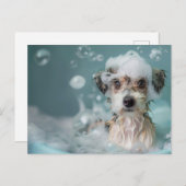 バブルパスを持つ可愛い犬 ポストカード (正面/裏面)