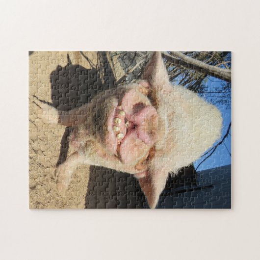 バブルパズル! ジグソーパズル (横)