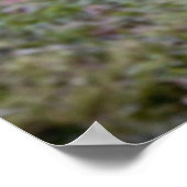 バブルフォト ポスター (角)