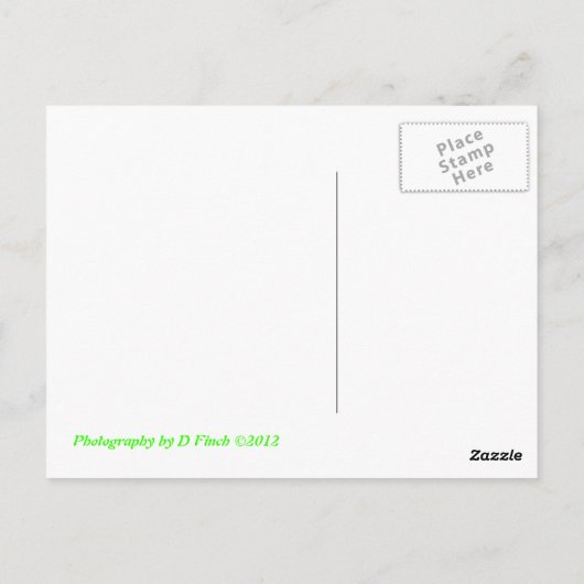 バブル ポストカード (裏面)