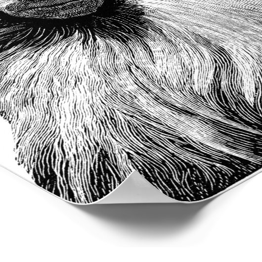 バブーンモンキージャングルサファリイラストレーション ポスター (角)