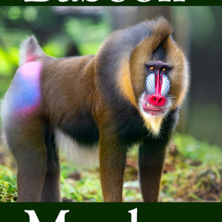 バブーンモンキー ジグソーパズル