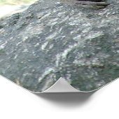 バブーン ポスター (角)