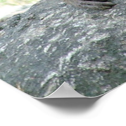 バブーン ポスター (角)