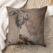 バプテスト聖ヨハネ像 クッション (ブランケット)