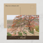 バマコマリの炎 ポストカード (正面/裏面)