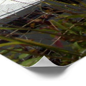 バミューダのボート ポスター (角)