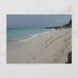 バミューダサンドの足跡 ポストカード