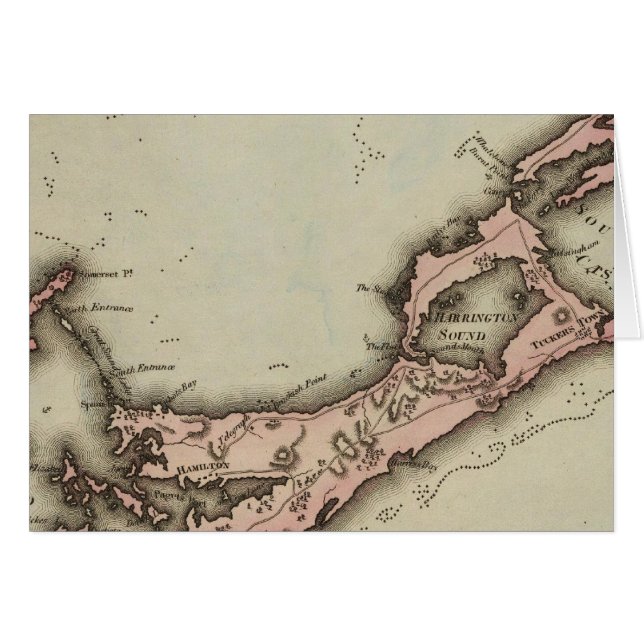 バミューダス (正面横)