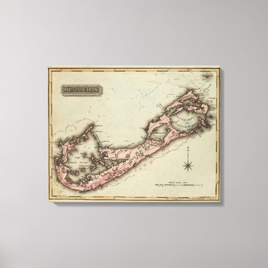 バミューダス キャンバスプリント (正面)