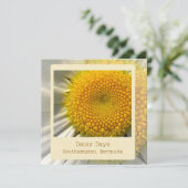 バミューダデイジーフラットカード シーズンカード (スタンド正面)