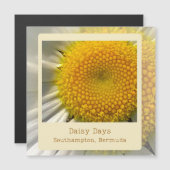 バミューダデイジー磁気カード (正面/裏面)
