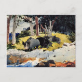 バミューダ入植者たち、風の強いホーマー絵画ズ家の人たち。 ポストカード (正面)