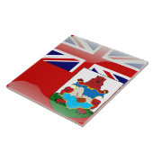 バミューダ国旗 タイル (側面)