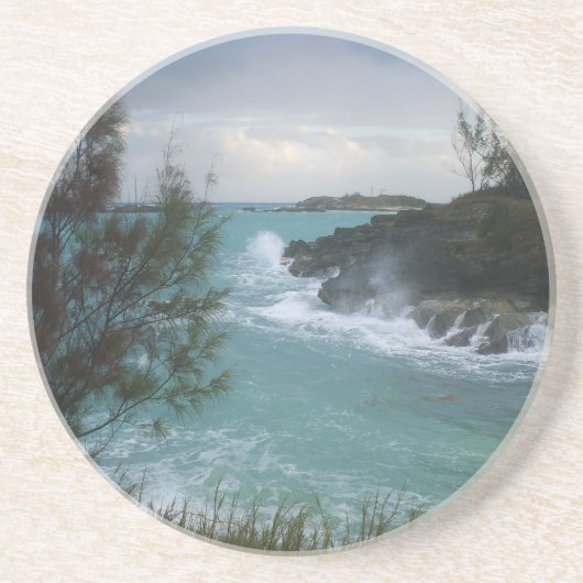 バミューダ島のコースター コースター (正面)