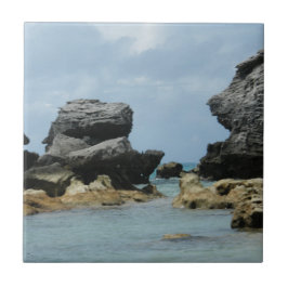 バミューダ島の海岸線 タイル