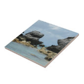 バミューダ島の海岸線 タイル (側面)