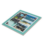 バミューダ州たばこベイビーチ タイル (側面)