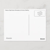 バミューダ州たばこベイビーチ ポストカード (裏面)