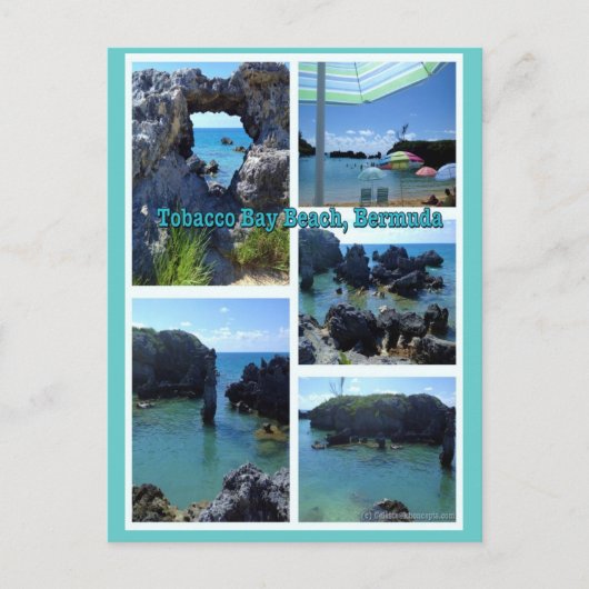 バミューダ州たばこベイビーチ ポストカード (正面)