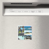 バミューダ州たばこベイビーチ マグネット (インサイチュ (食洗機))