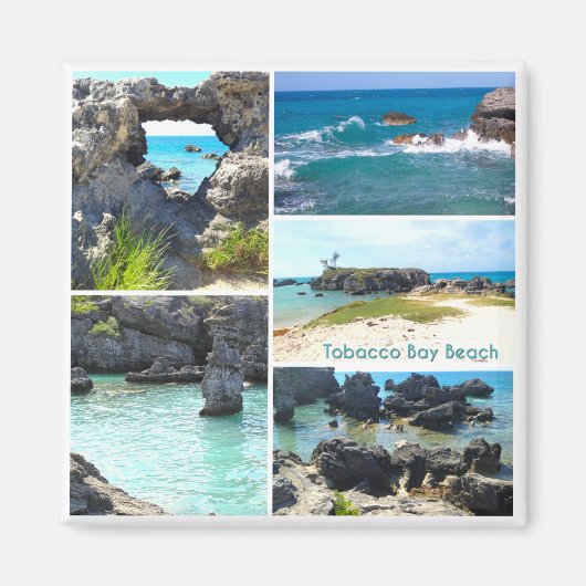 バミューダ州たばこベイビーチ マグネット (正面)