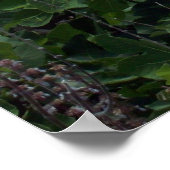 バミューダ州，歴史的セントジョージ ポスター (角)