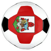 バミューダ旗 サッカーボール (回転)