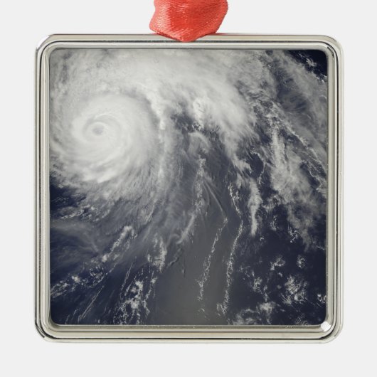 バミューダ沖ハリケーン法案 メタルオーナメント (正面)