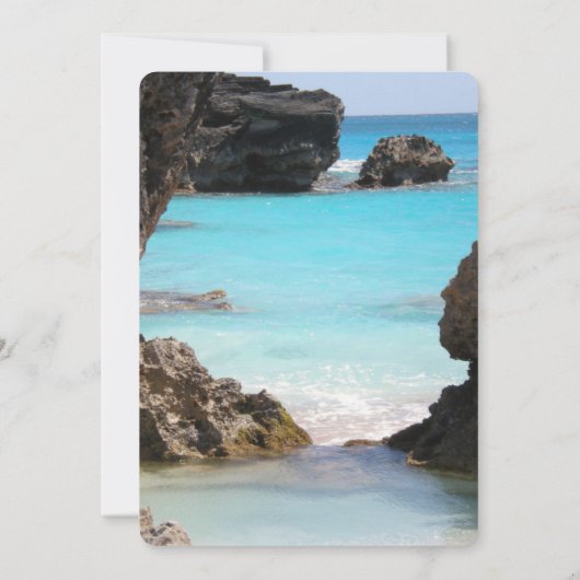 バミューダ海岸と熱帯海の写真 セーブザデート (裏面)